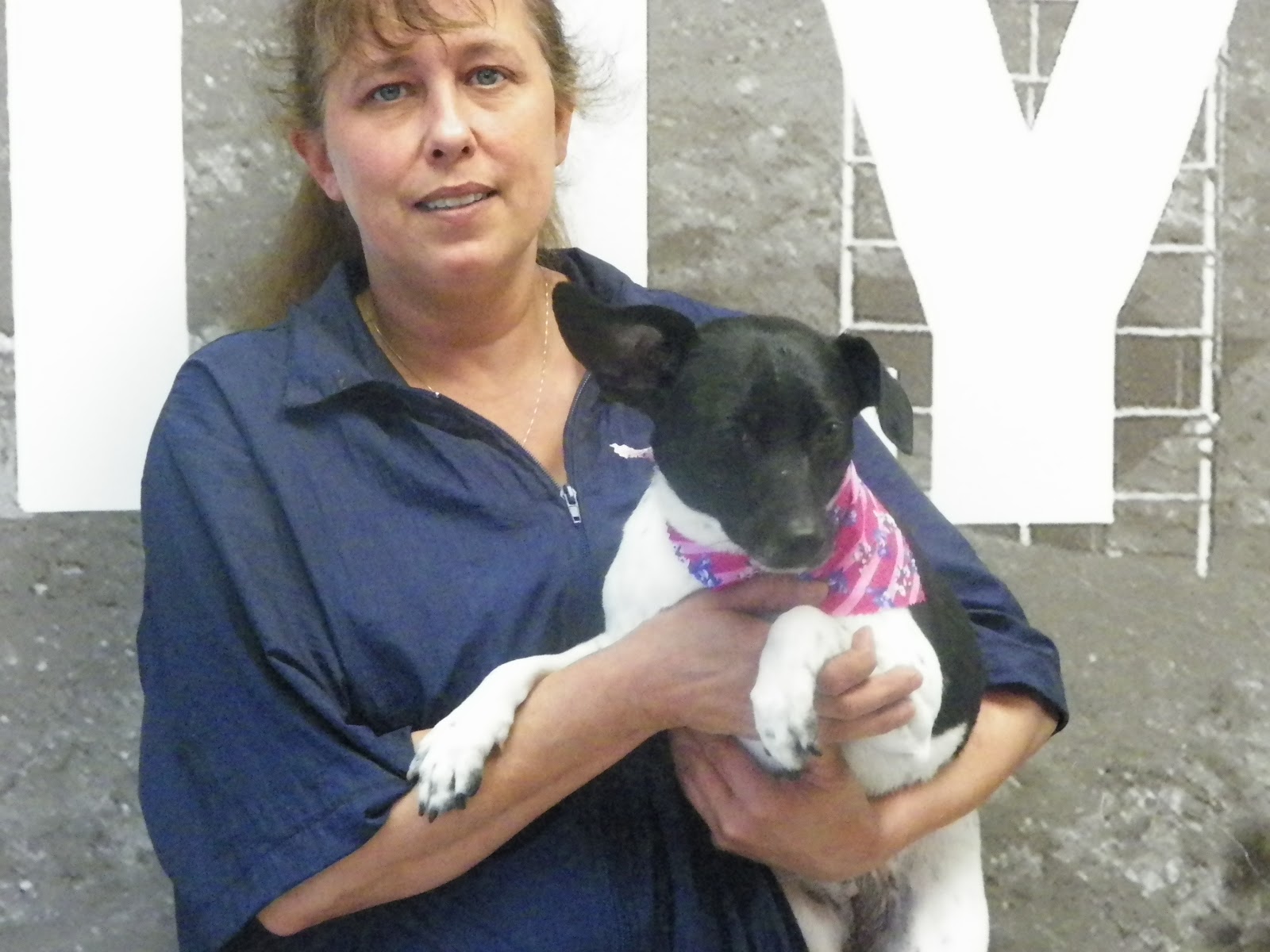 Sharing On Saving Hollywood Dogs Grooming Spa ***Honorable Mention